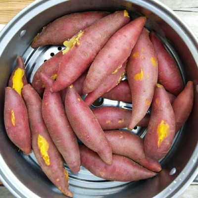 【买5斤送5斤】新鲜红薯超甜沙地蜜薯黄心番薯山芋红苕地瓜10斤 2件起批