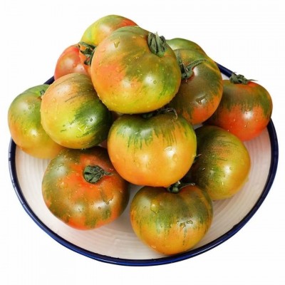 丹东铁皮柿子 新鲜采摘东北特产水果番茄 绿腚生吃草莓西红柿 2件起批