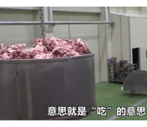 探秘韩国'浓汤宝'加工厂，一锅炖3吨猪骨，卫生条件真让人羡慕！