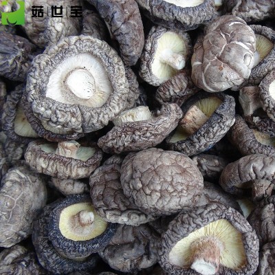 西峡香菇干板菇大小均匀香味浓郁冬菇剪脚菇单双剪菇脚产地批发
