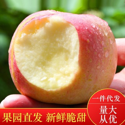 脆甜红富士苹果新鲜应季水果陕西苹果10斤冰糖心丑洛川苹果批发
