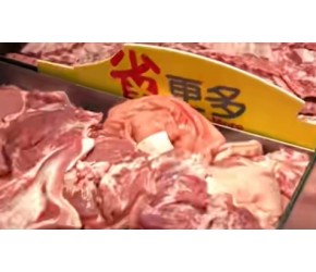 猪肉都卖15一斤，超市里的速冻水饺，为什么才5块钱一斤？