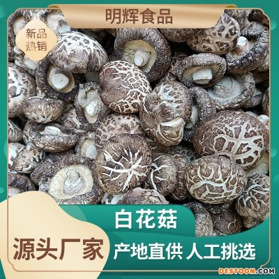 河南土特产干制花菇 规格齐全 礼品香菇花菇 出口级内销级 500g