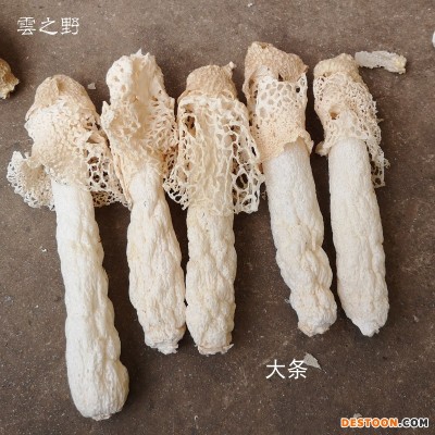 云南农家特产食材干货短裙肉厚红托竹荪竹笙煲汤香菇类食用菌