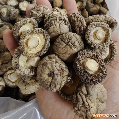 随州香菇菌菇 2.5小香菇干 随州冬菇厚菇干货厂家 可出口香菇