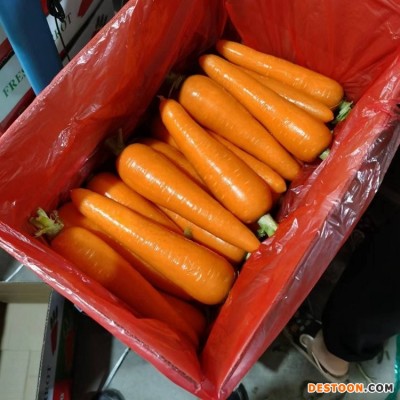 包邮10斤胡萝卜水果萝卜生吃新鲜蔬菜当季整箱带泥甜脆红皮心