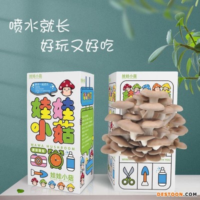 平菇菌包菌种食用袋装菌蘑菇种植菌包阳台趣味盒装diy儿童礼物