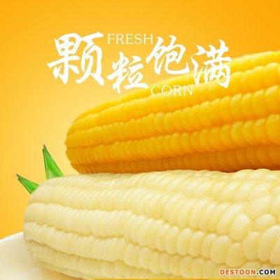 有机玉米冰国糯玉米真空黄白组合8根 黑龙江农产品代餐粗粮食品