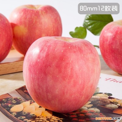 陕西洛川苹果4枚90 洛川苹果 产地直发应季新鲜水果脆甜可口