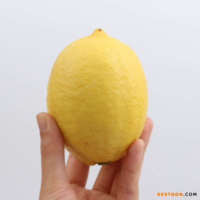 产地直供四川安岳黄柠檬新鲜整箱当季水果精选皮薄甜多汁柠檬