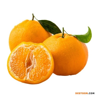 正宗四川春见耙耙柑橘子5斤礼盒新鲜水果橘子粑粑柑现摘一件代发