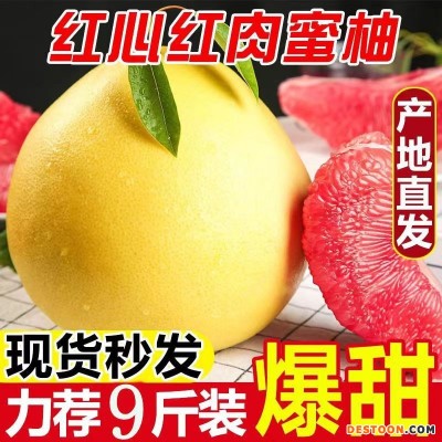 正宗广西容县三红蜜柚红心柚子薄皮香甜多汁柚子新鲜红蜜柚沙田柚