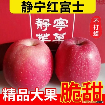 静宁精品红富士特大果礼盒装制作精品水果一件代发