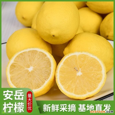 四川安岳柠檬产地直发黄柠檬皮薄多汁中大果整箱当季新鲜水果批发
