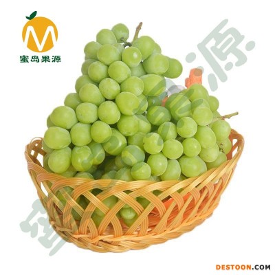现货 晴王 香印无籽葡萄 阳光玫瑰青提 新鲜水果4.5斤装 新鲜葡萄