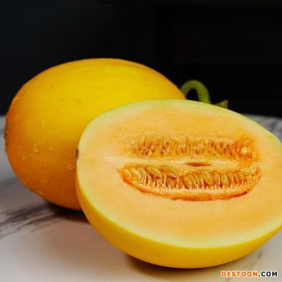 陕西黄金蜜瓜甜香瓜当季新鲜水果阎良甜瓜黄河蜜瓜一件代发