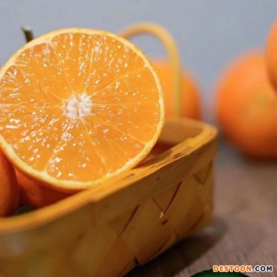 九月红脐橙秋橙爆汁橙果冻橙子一件代发批发