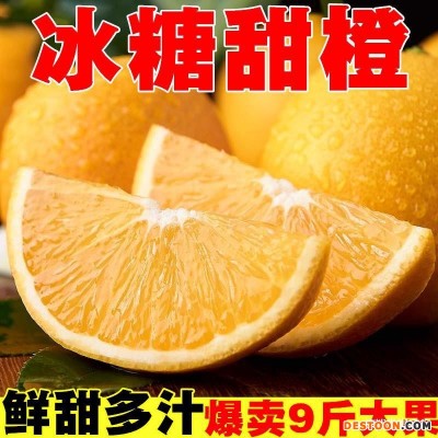 正宗冰糖橙10斤手剥橙子新鲜特级甜橙3当季水果冻橙包邮云南玉溪