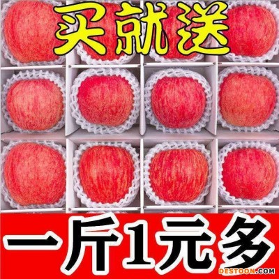 【精选】高山冰糖心红富士苹果水果新鲜脆甜特价多规格整箱批发
