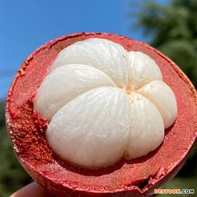 【泰国山竹】当季鲜果老树麻竹软糯香滑5斤4A5A新鲜水果一件代发