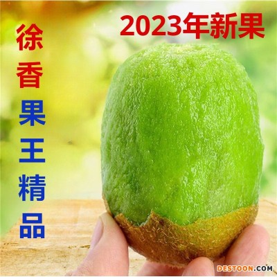 2023当季陕西正宗徐香果王精品5斤猕猴桃绿心奇异果新鲜水果整箱