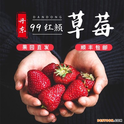 丹东99草莓3斤新鲜现摘红颜东港大草莓精选大果35g+【顺丰包邮】