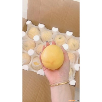 【一件代发】芒果桃子大连特产新鲜桃子顺丰包邮孕妇水果脆甜