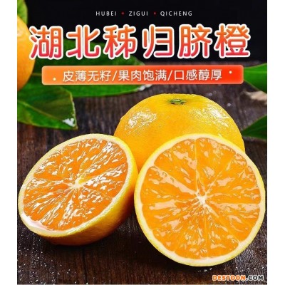 秭归高山夏橙脐橙新鲜橙酸甜橙手剥橙水果产地直发应季橙子批发