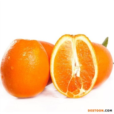 精品纽荷尔脐橙 原产地现摘现发橙子 水果 缺斤少两包赔