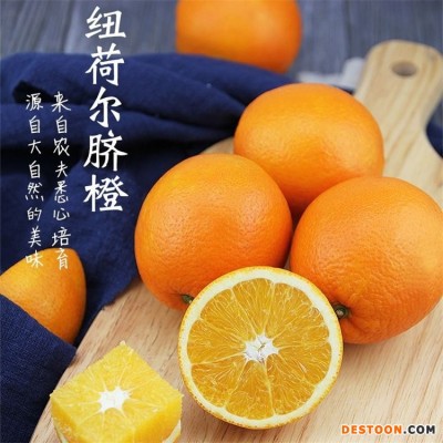 精品纽荷尔脐橙 现发当季水果基地 现采现发 澄红柑橘