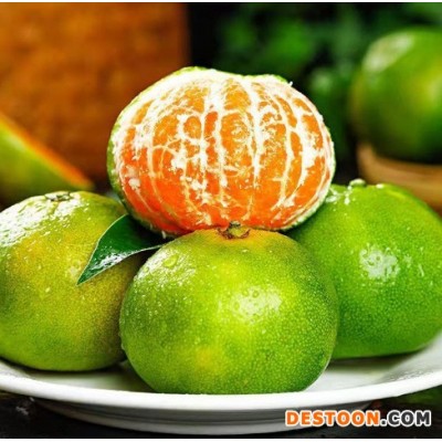 云南青皮蜜桔蜜橘新鲜当季水果橘子酸甜产地直发一件代发