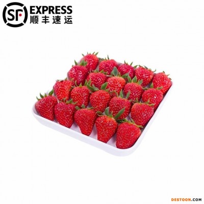 5斤顺丰四季草莓水果新鲜酸草莓红颜草莓批发商用蛋糕烘焙糖葫芦