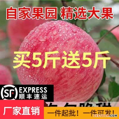 【顺丰包邮 】山西丑苹果冰糖心脆甜多汁红富士水果5/10斤包邮。
