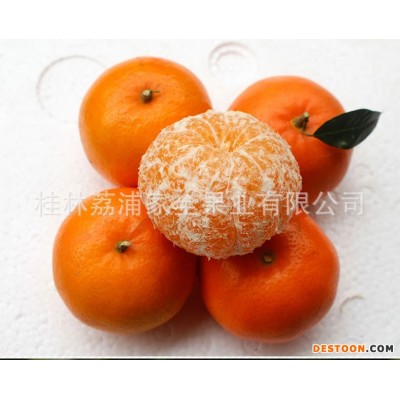 砂糖橘广西荔浦正宗砂糖橘桔子现摘现发3斤/5斤/10斤支持一件代发