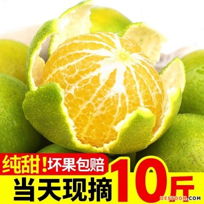 广西皇帝柑大果新鲜现摘5斤沃柑椪柑水果当季整箱贡桔橘子