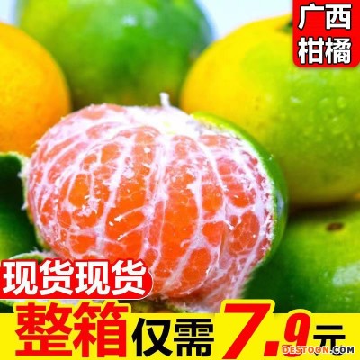 批发广西水果一件代发新鲜橘子水果蜜橘柑橘薄皮青皮桔子砂糖桔
