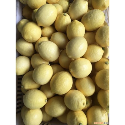 新鲜黄柠檬鲜果 水果 尤力克柠檬一级果 包装微供代发包邮
