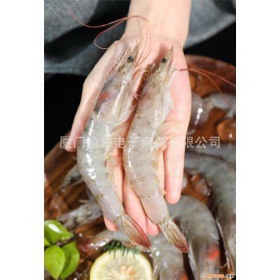 进口厄瓜多尔白虾3040规格净重2.8斤50-60只大虾家用商用