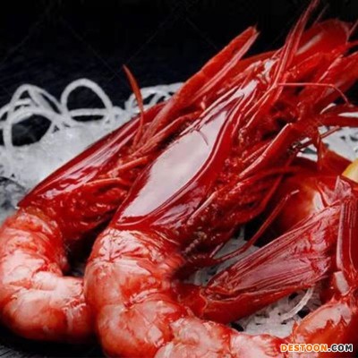 红魔虾刺身新鲜批发海虾鲜活速冻非莫桑比克西班牙虾【量大 从优】