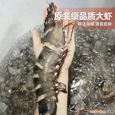 越南进口特大黑虎虾250克一盒半斤斑节对虾鲜活速冻请客送礼批发