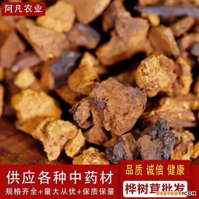 大货批发桦树茸 白桦茸颗粒 食用菌类大量供应代理批发一件代发