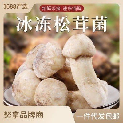 冰鲜松茸冰冻松茸云南特产山珍食用菌菇冬季煲汤食材菌子新鲜松茸
