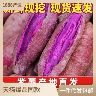 紫薯新鲜批发产地直发红薯番薯地瓜蜜薯山芋香薯代发蔬菜粗粮