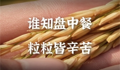 粮食产量再创新高，农民收入保持增长