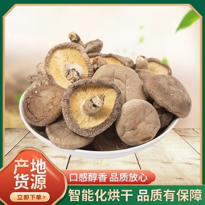 庆元带脚厚菇农家新鲜干香菇食用蘑菇冬菇土特产煲汤餐饮基地供货