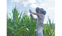 隆平生物科研团队——在希望的田野培育农业“芯”