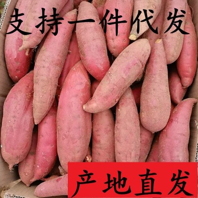 红薯西瓜红蜜薯10斤板栗番薯糖心蜜薯农家自种地瓜新鲜9一件代发