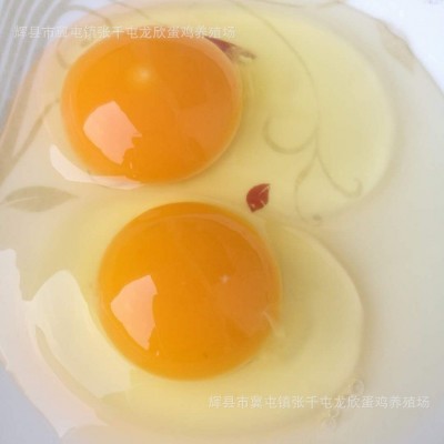 农三粉蛋土鸡蛋养殖场批发草鸡蛋一手货源虫草蛋