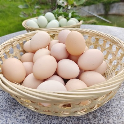 农家自养土鸡蛋 生态粮食喂养走地鸡鲜鸡蛋 当日现捡30枚装供应