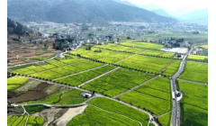 开春大干！绥阳加快建设现代山地特色高效农业